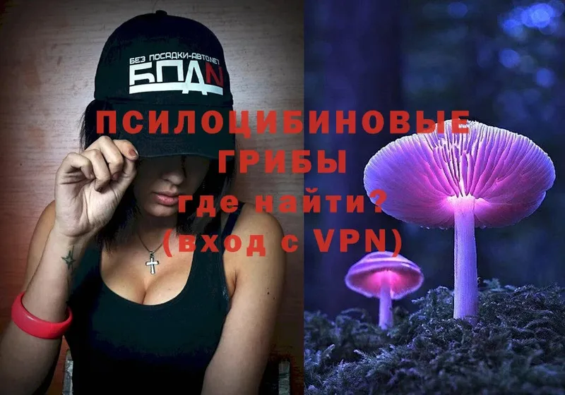 мега сайт  Орлов  Галлюциногенные грибы Psilocybine cubensis 